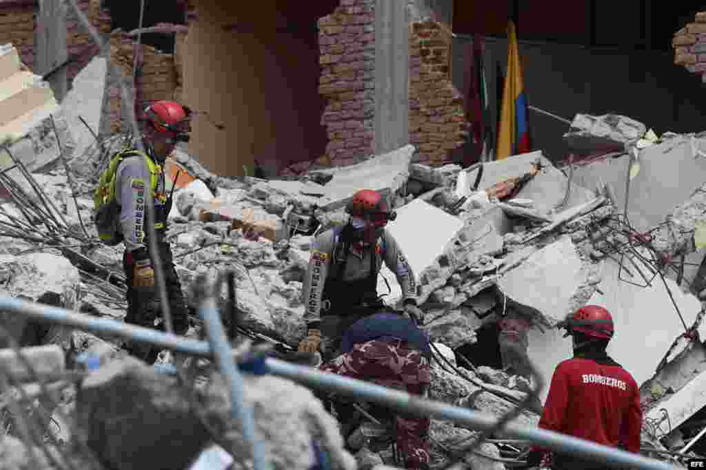 Rescatistas con perros amaestrados buscan sobrevivientes en el sector de Pedernales (Ecuador) hoy, lunes 18 de abril de 2016, tras el terremoto de 7,8 grados en la escala de Richter registrado el sábado en la costa norte de Ecuador.