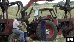 Campesinos conversan en un campo de caña de azúcar, junto a una cortadora-alzadora. 