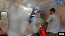 Un hombre fumiga una vivienda como parte de la campaña contra el mosquito "Aedes aegipti", transmisor del dengue. Foto de archivo